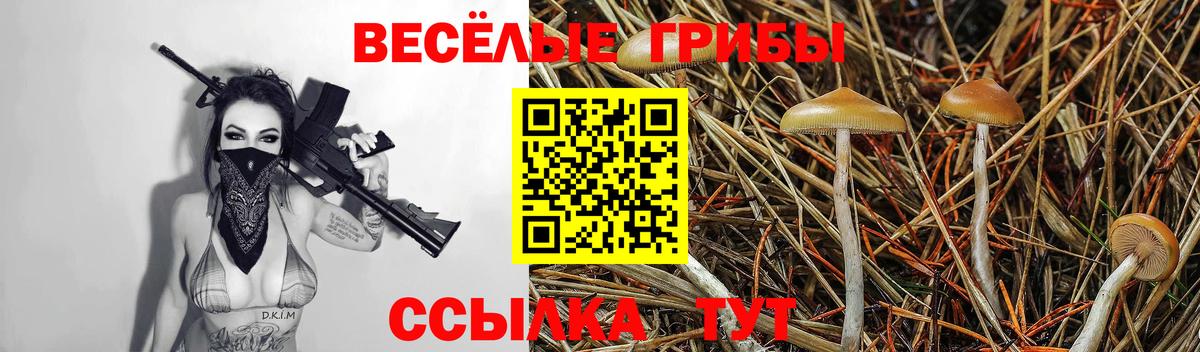 Галлюциногенные грибы GOLDEN TEACHER Самара